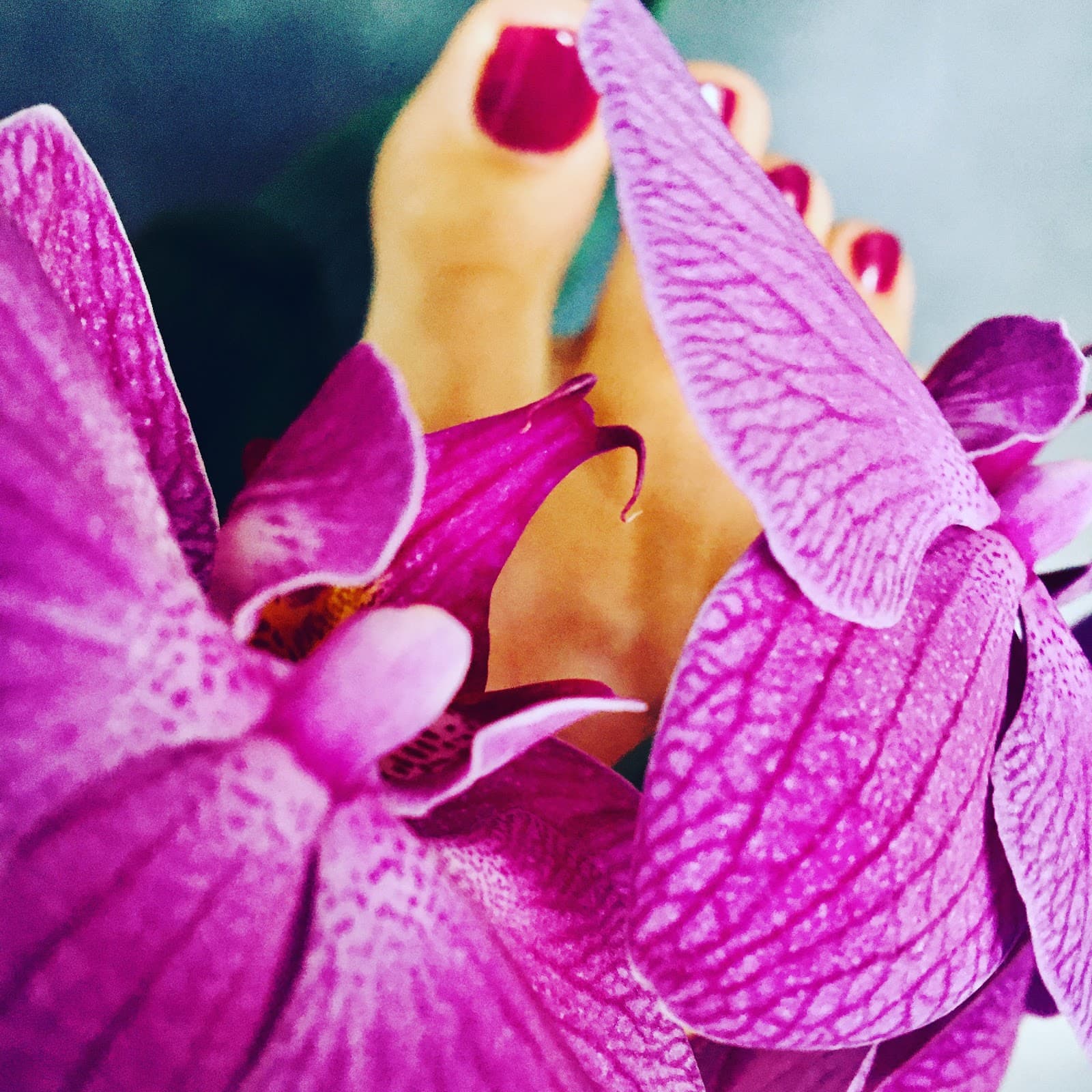 Soin de pieds et orchidées